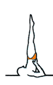 Ashtanga Yoga Bruxelles_posture_inversée