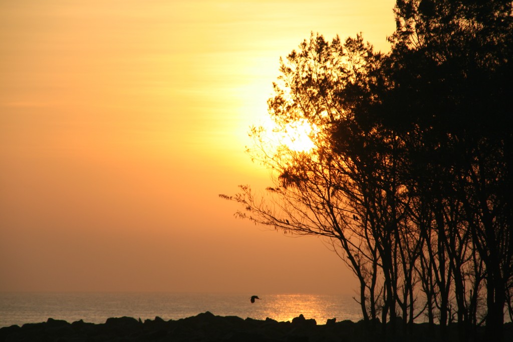 Sunrise at Mahabalipuram 