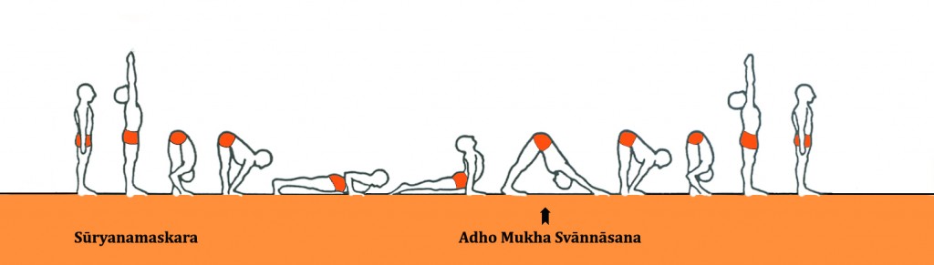 Ashtanga Yoga_Adho Mukha Svannasana _suryanamaskara_A