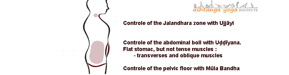 Pelvic floor muscle positioning during the practice (Mūla Bandha)